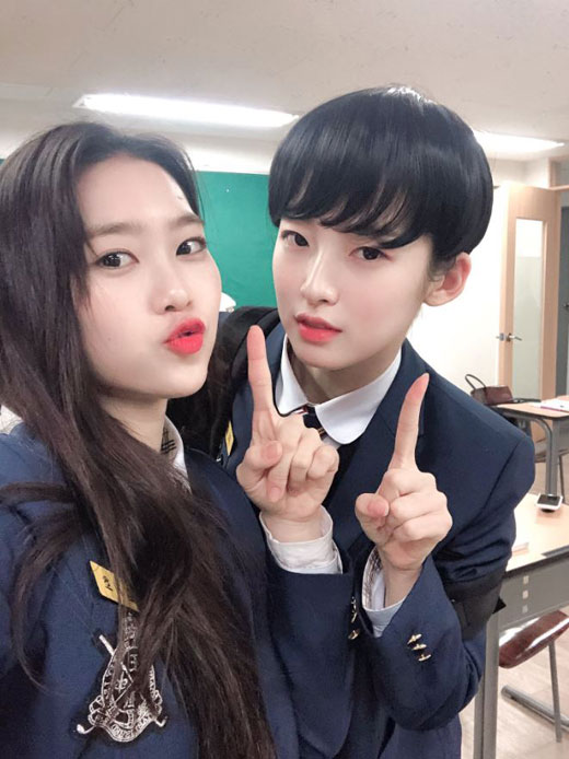 아린헤어 이미지
