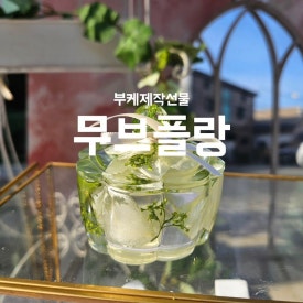 무브플랑 이미지