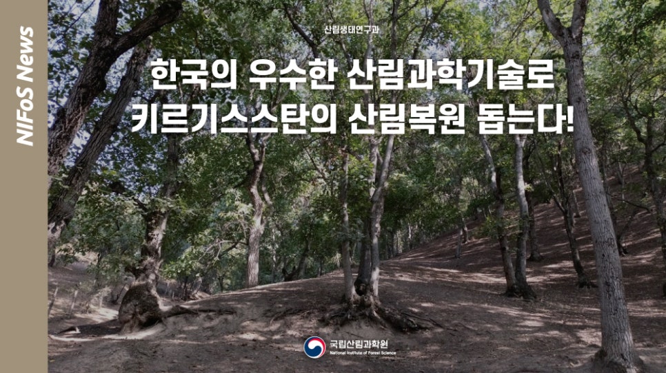 중앙산림기술 이미지