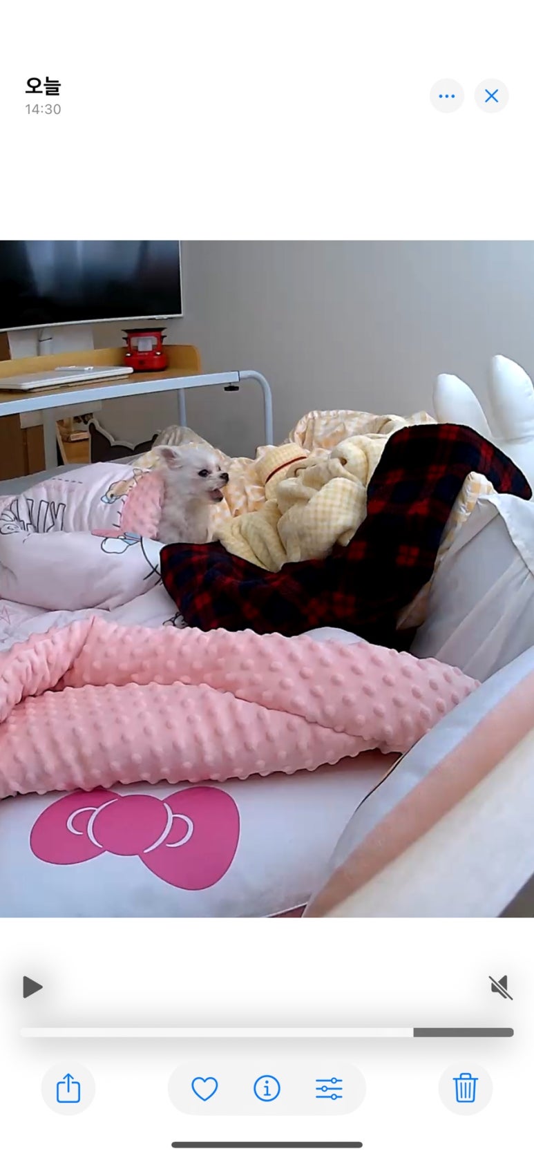 자양제일커피 이미지