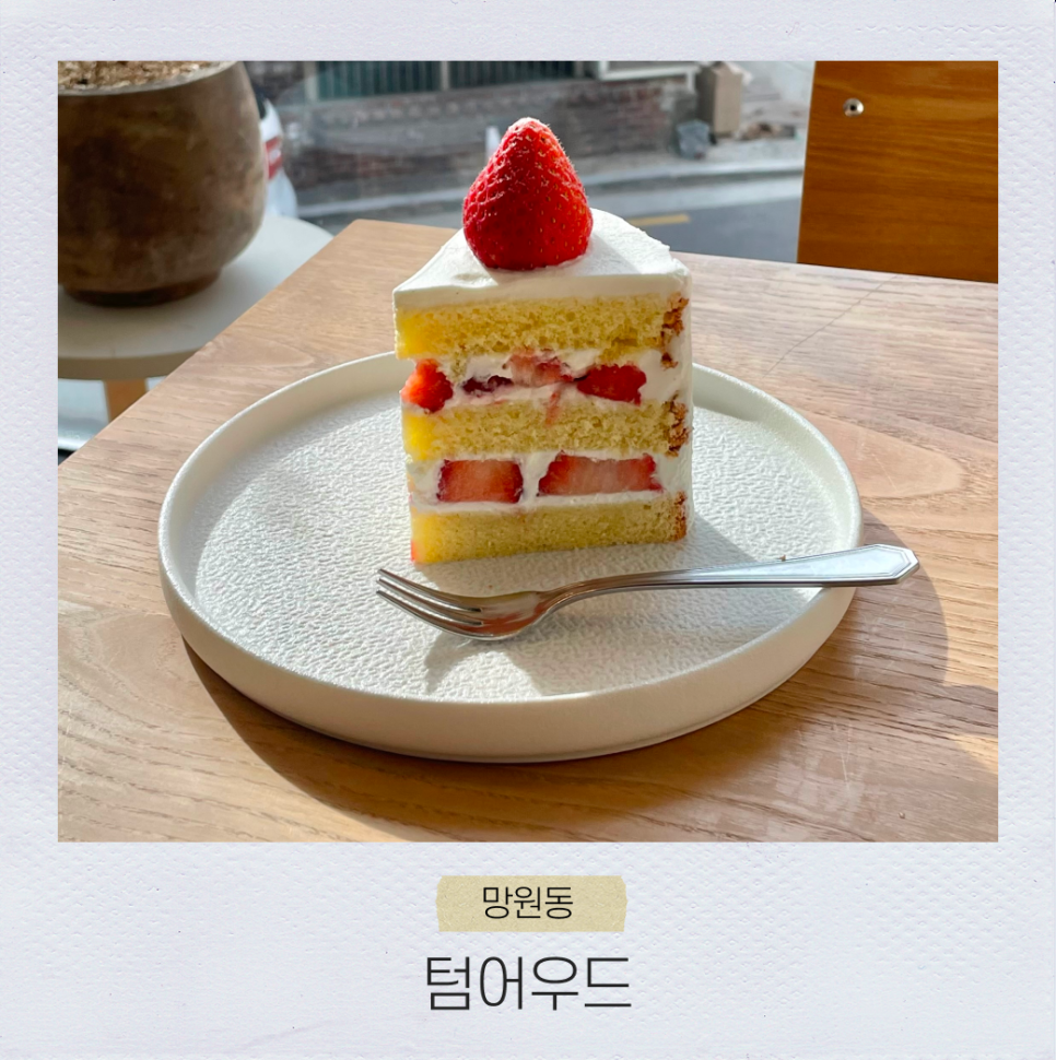 텀어우드 이미지