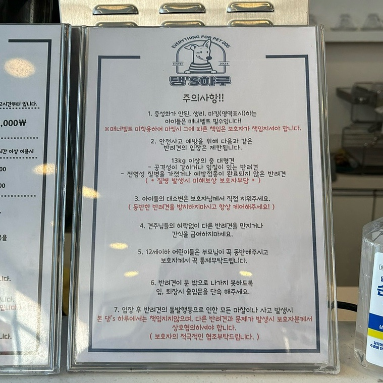 댕스하루 이미지