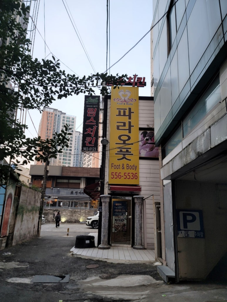 파라오풋 이미지
