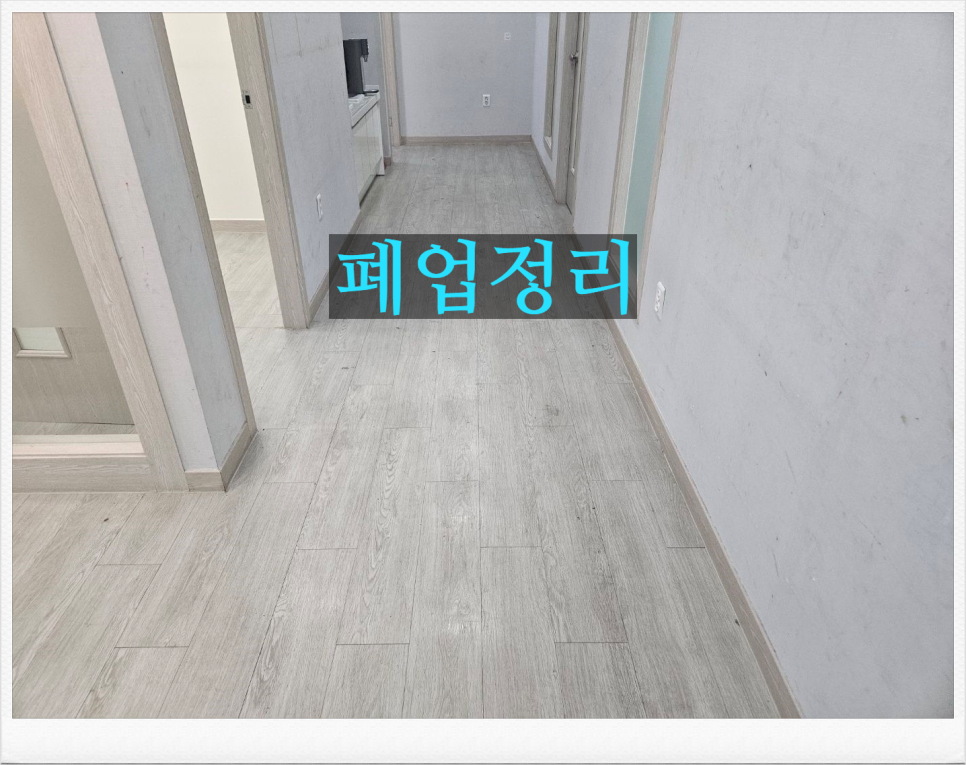 영토탈 이미지