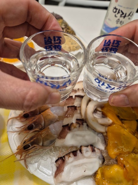 다와방 이미지