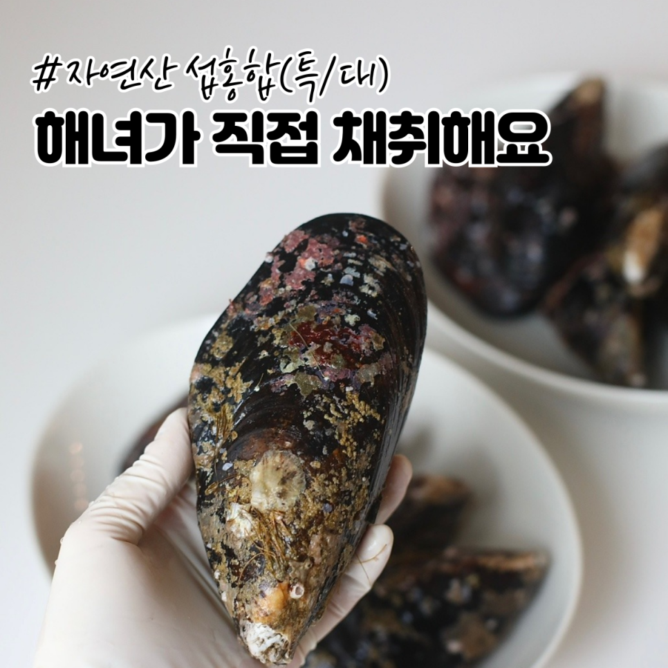 섭 이미지