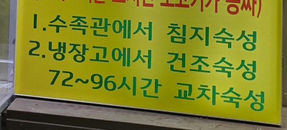 탐라도야지2 이미지