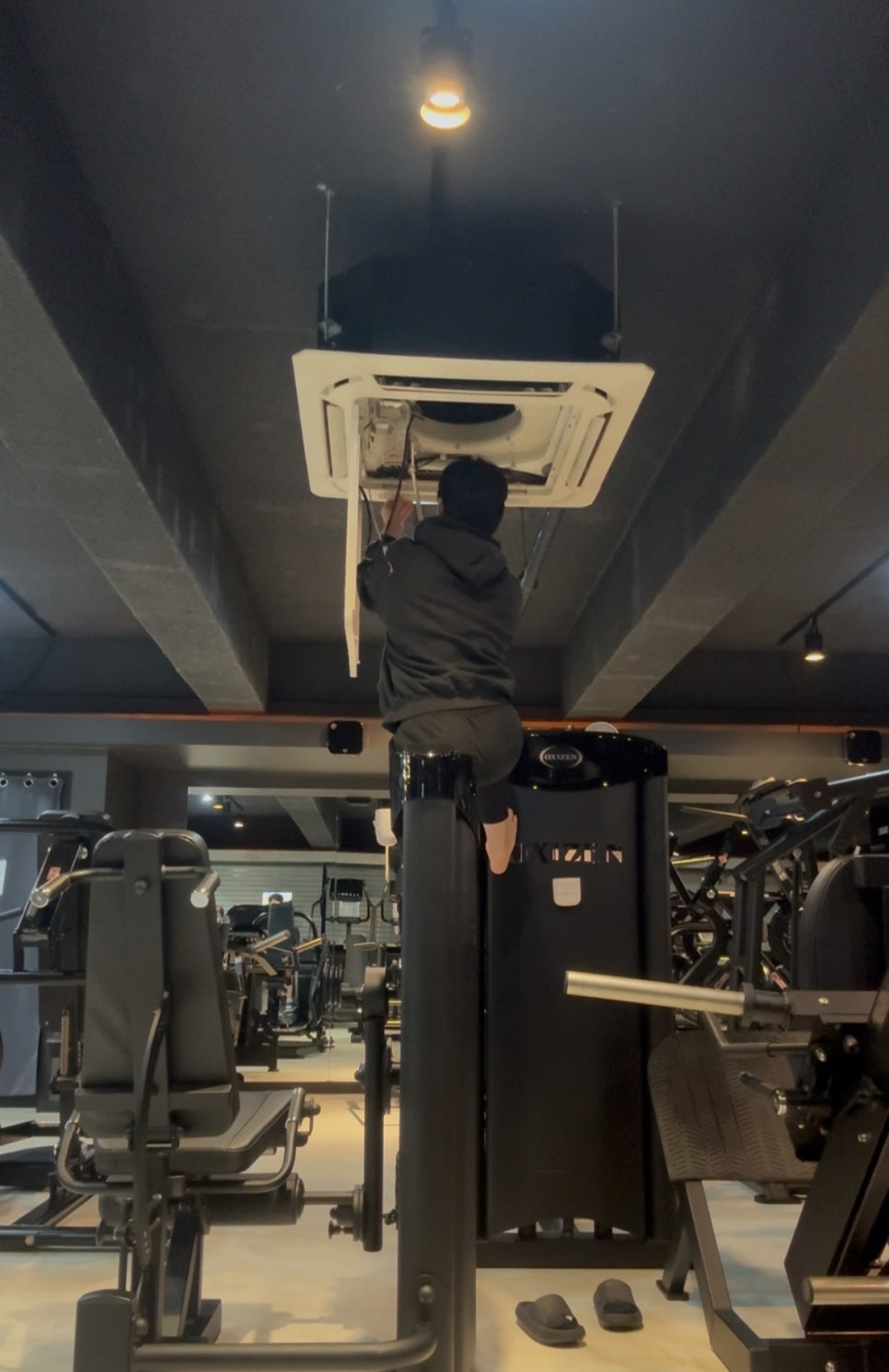 펠리스짐 이미지