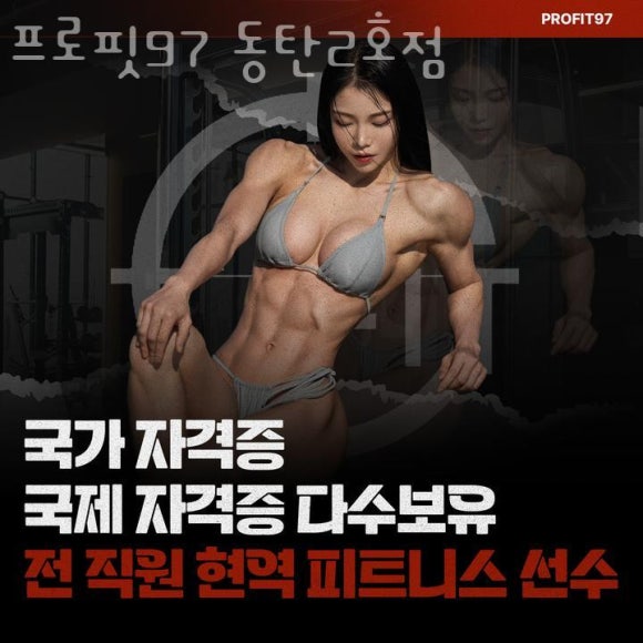 프로핏97 이미지