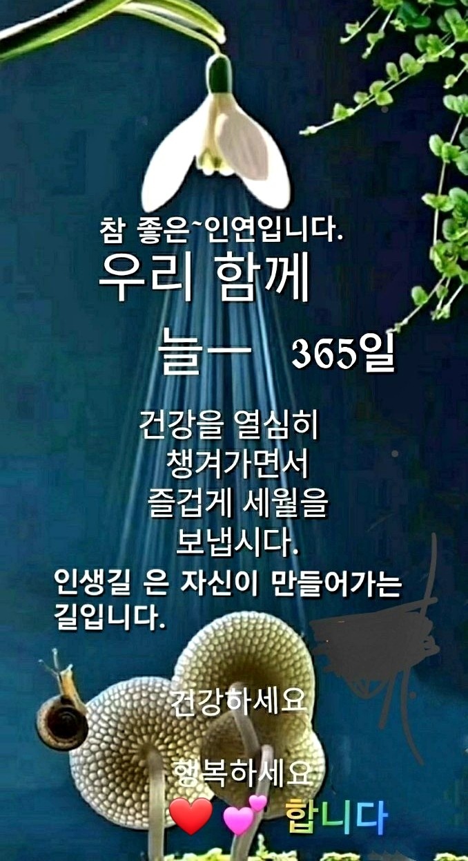 자기연출 이미지