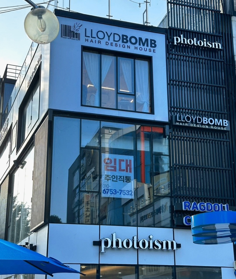 로이드밤 이미지