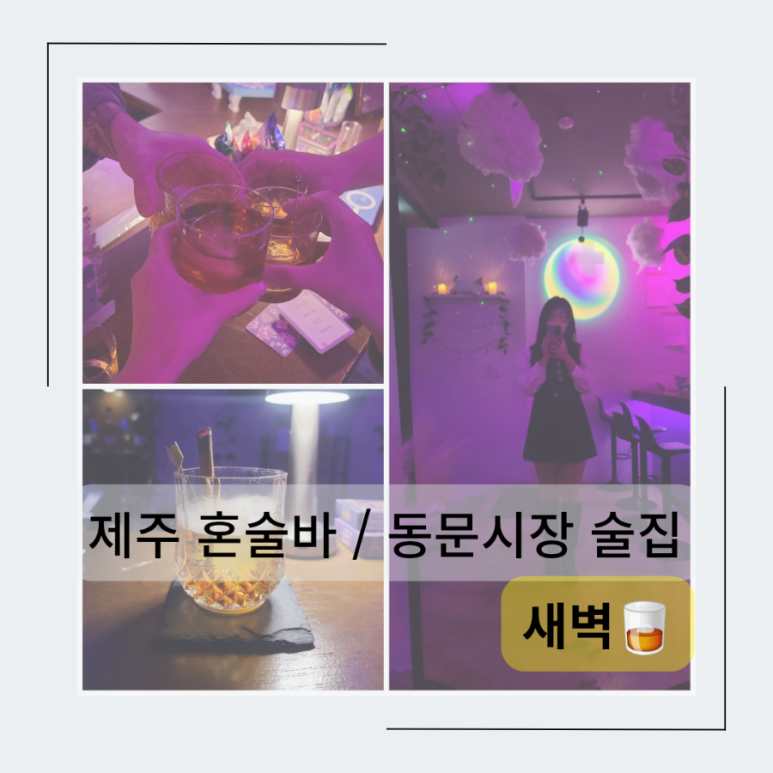 새벽제주혼술바 이미지
