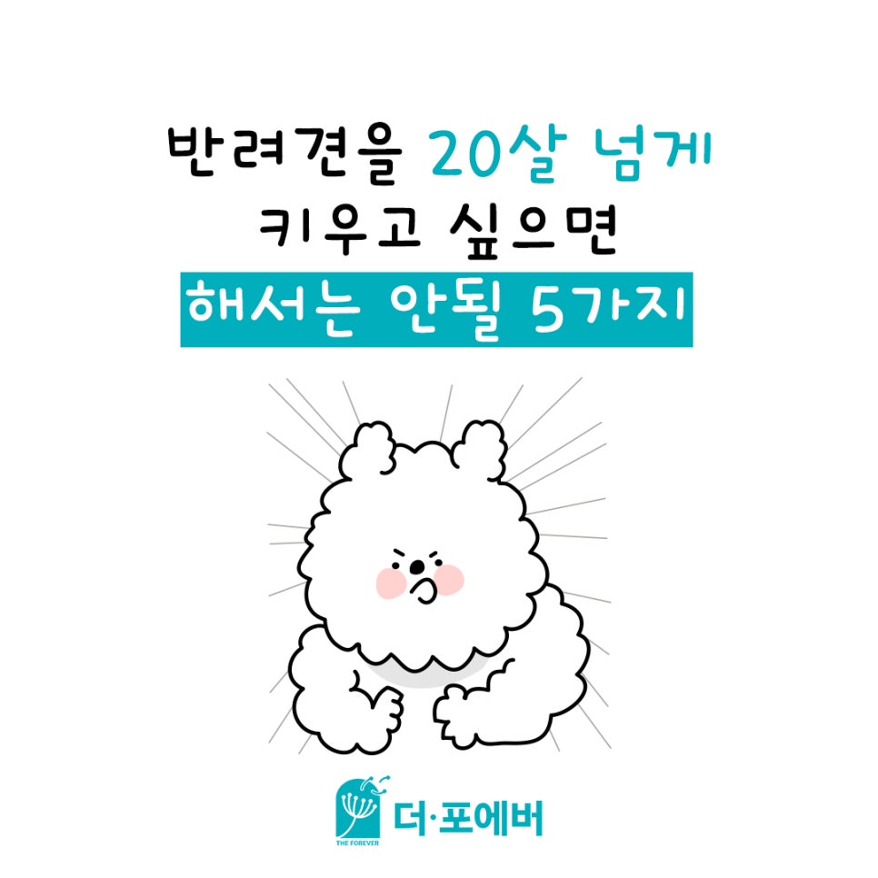 옵디자인 이미지
