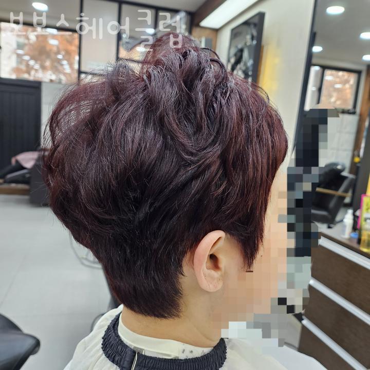 보보스헤어클럽 이미지
