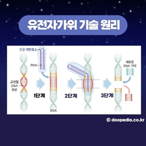 가위연구소 이미지