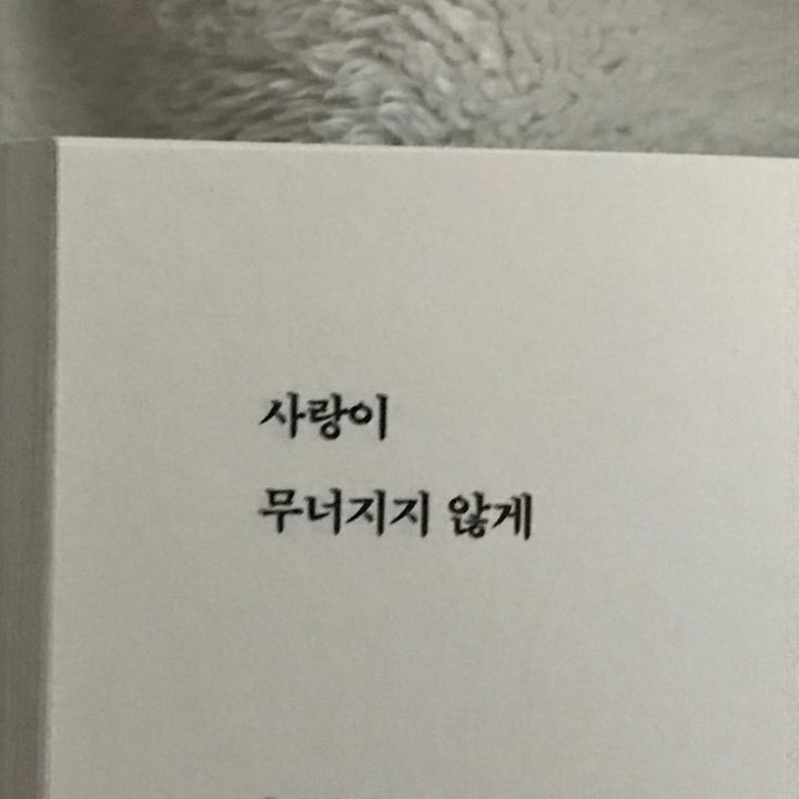 앙큼한언니 이미지