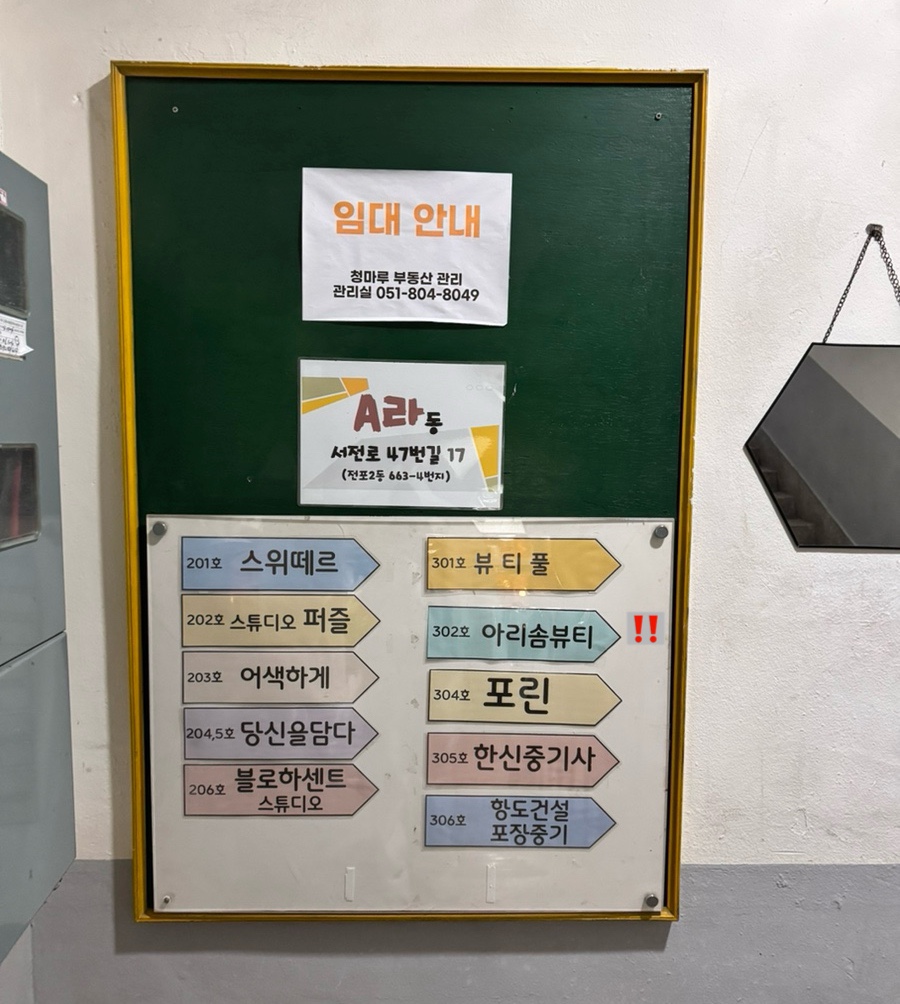 아리솜 이미지