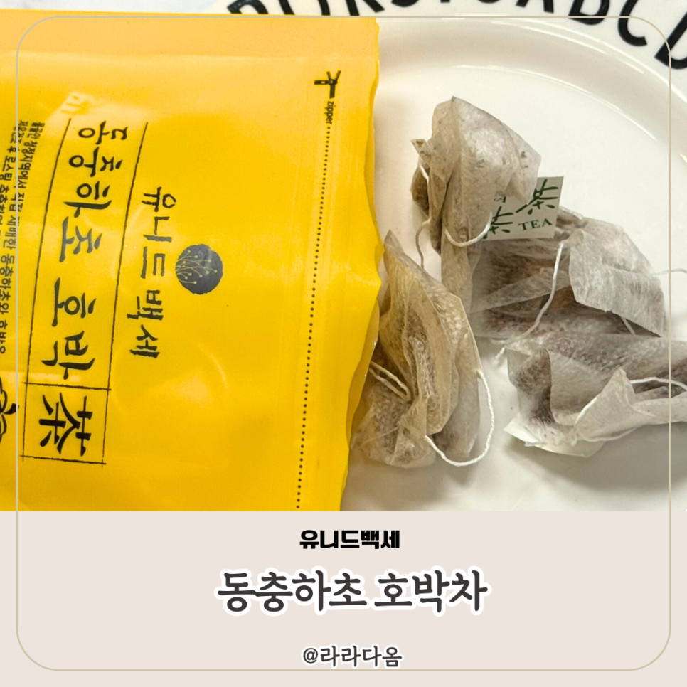 유니드백세 이미지