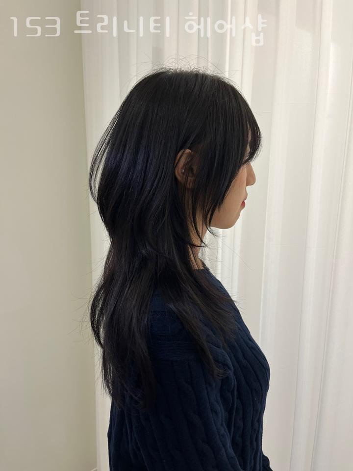153미용실 이미지