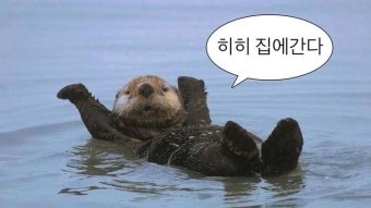 소확행 이미지