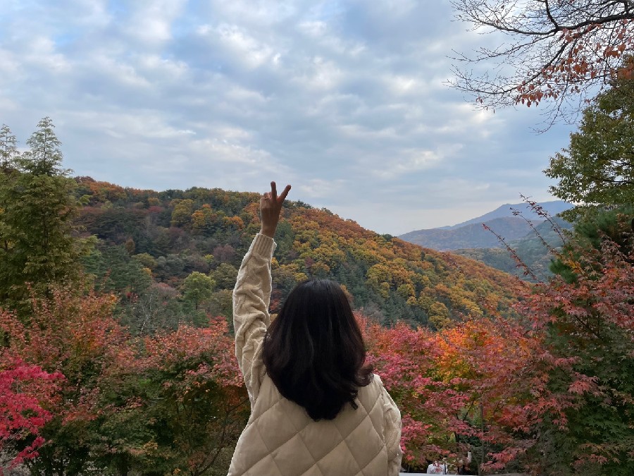 앙큼한언니 이미지