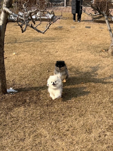 빵꾸네놀이터 이미지