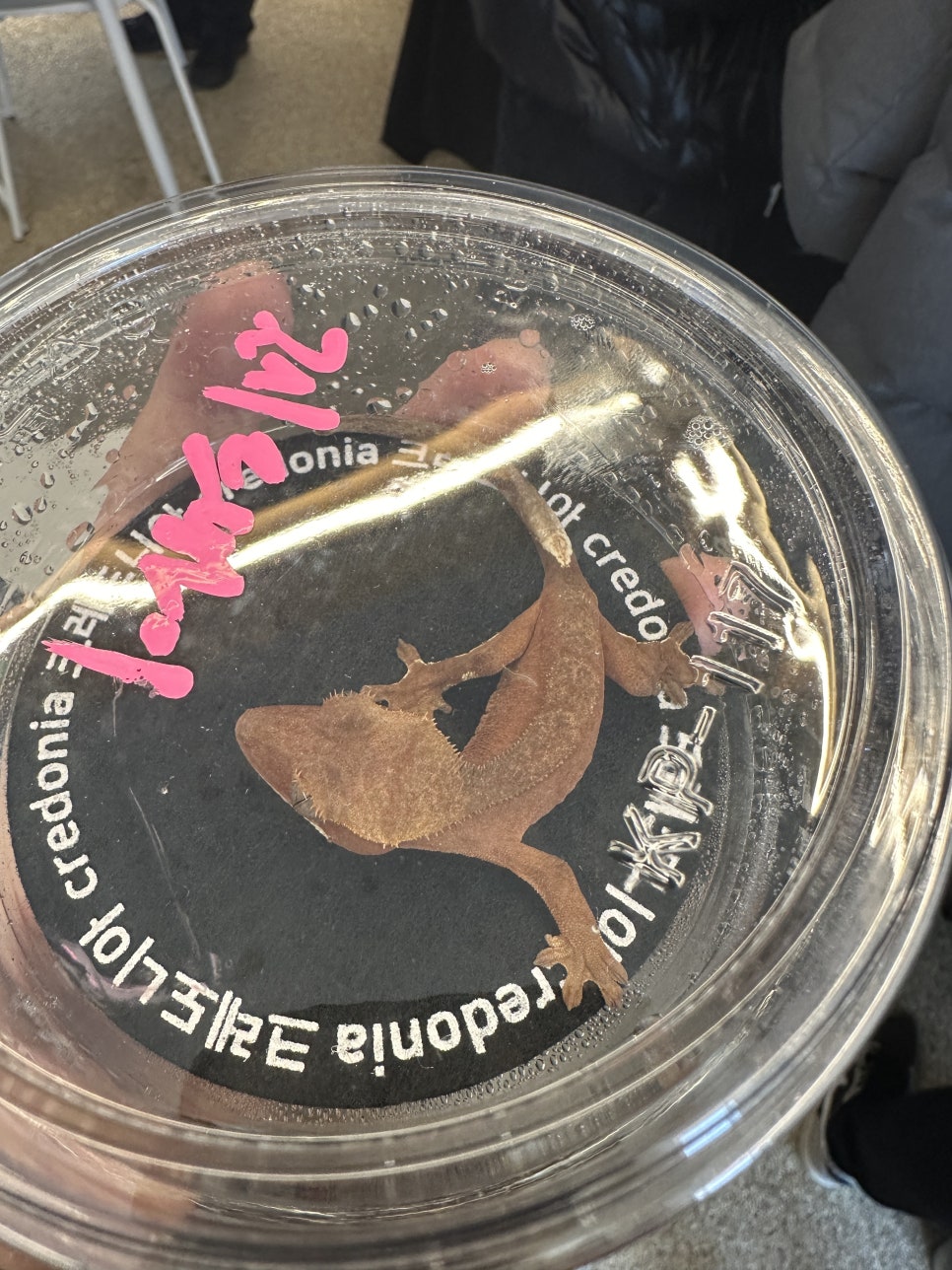 크레도니아 팔달구청점 이미지
