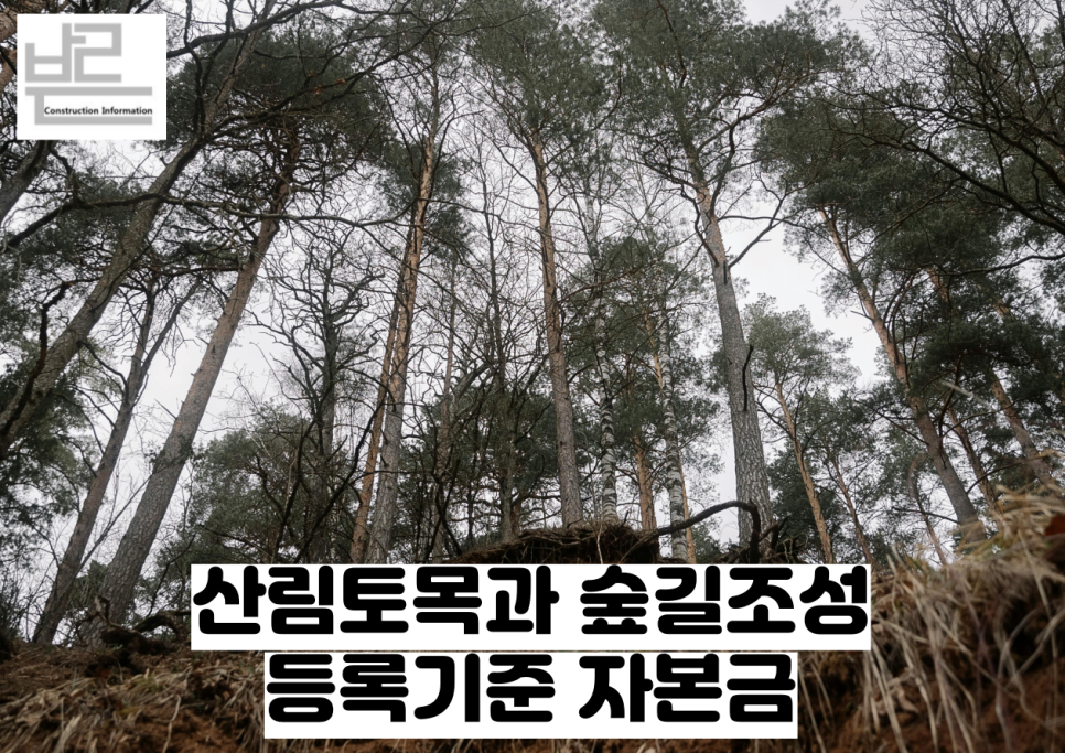 숲길법인 이미지