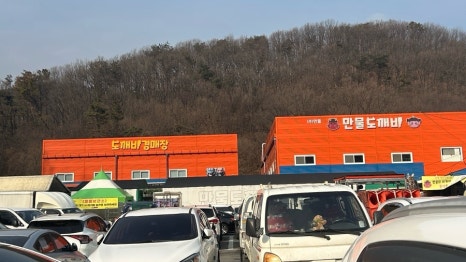 가나만물 이미지