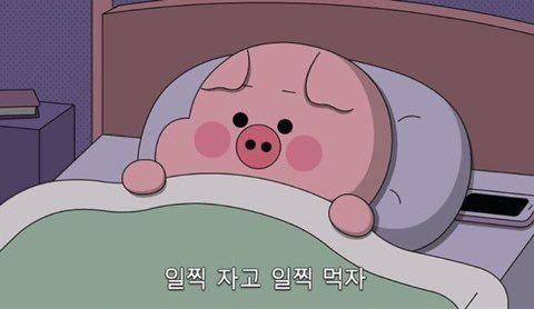 착한꽈배기 이미지