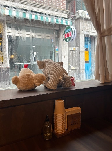엘리카츠 이미지