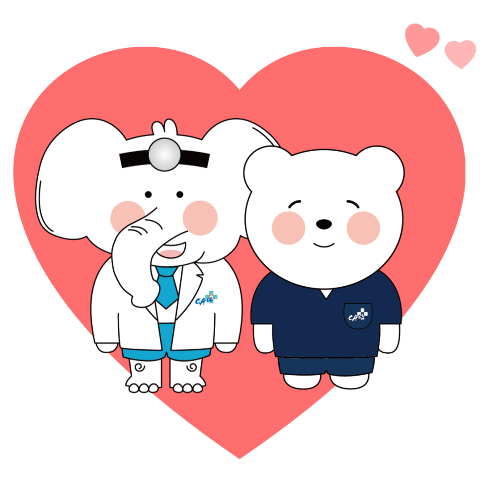 현대정육센터 이미지