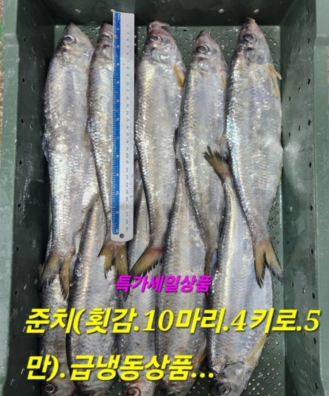 임여사수산 이미지
