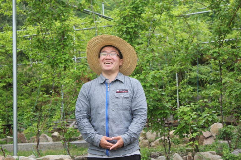 다래팜핑 이미지