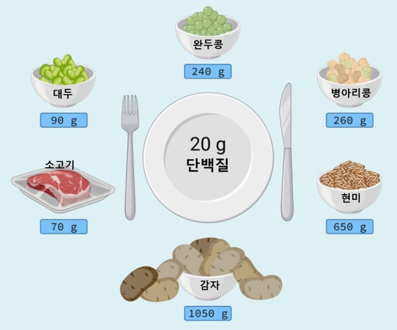 동화육류 이미지