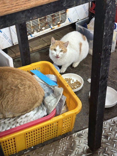 신진도수산 이미지