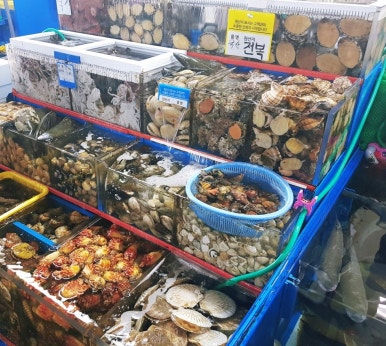 수산물도소매쎈터 이미지