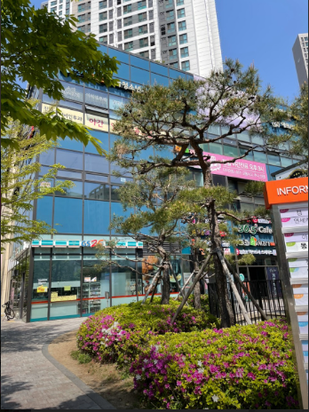 라온속눈썹 이미지