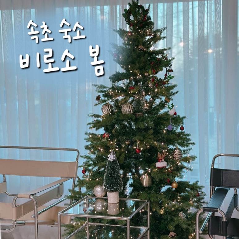 비로소봄 이미지