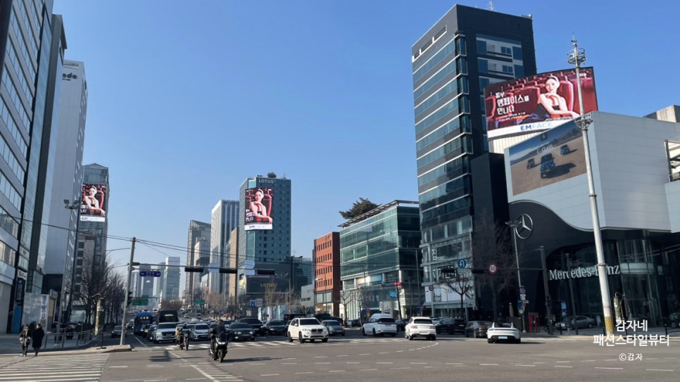 도산대로 이미지