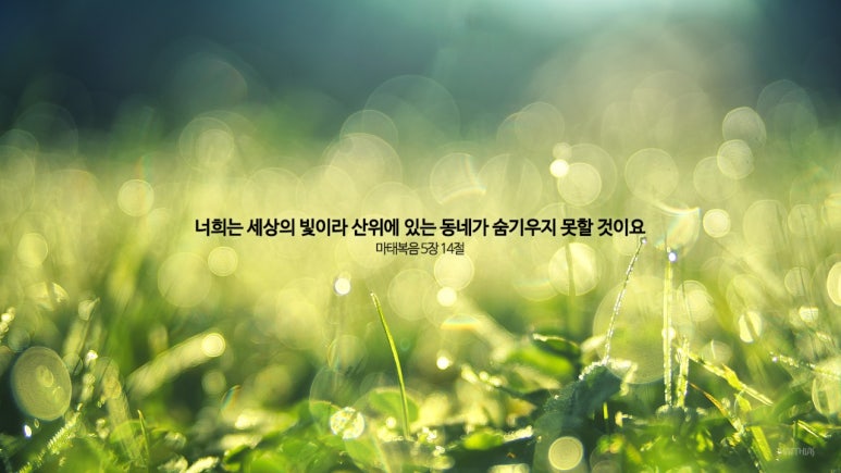 세상의빛 이미지