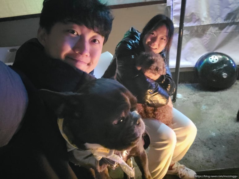 캠프위드펫&애견글램핑 이미지