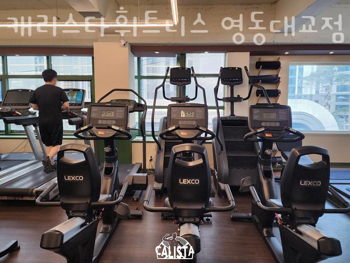 캐리스타휘트니스 이미지