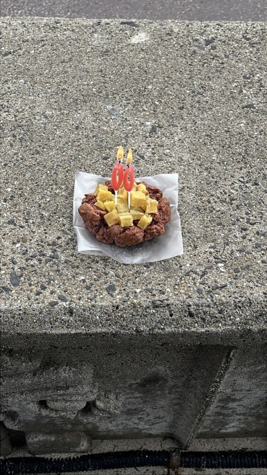 라빵즈 이미지