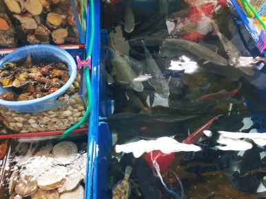 수산물도소매쎈터 이미지