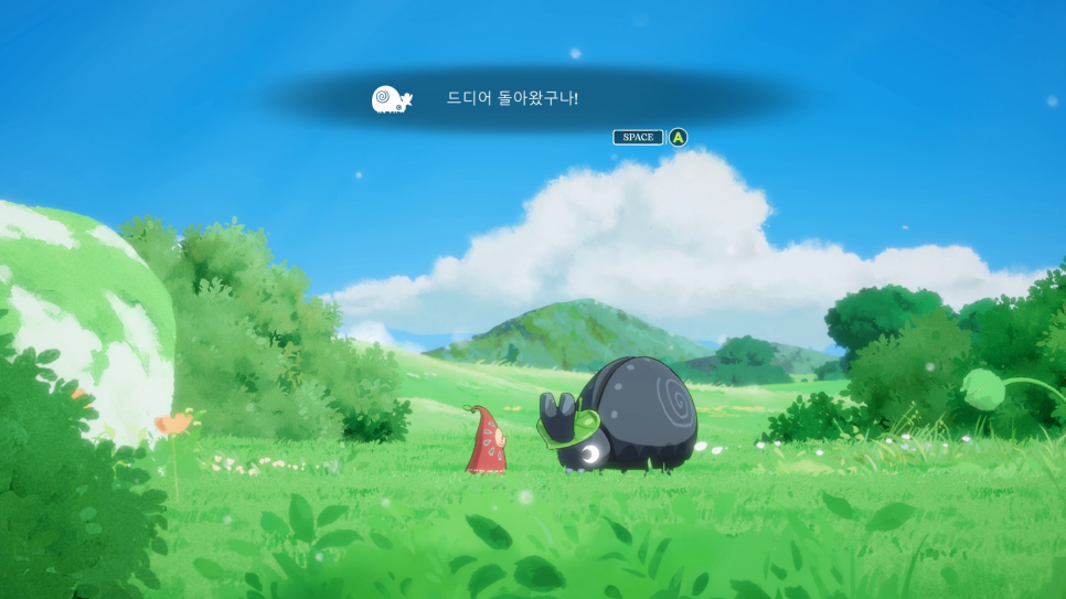호아(HOA) 이미지