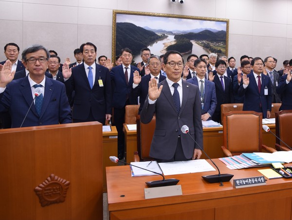 도마컨설팅 이미지
