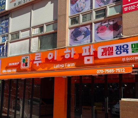 오렌지 정육 이미지