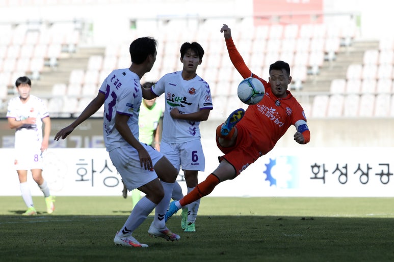 화성종합장식 이미지
