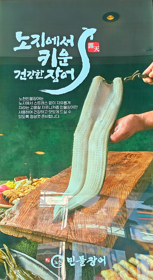 노천민물장어 이미지